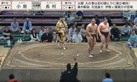 なぜ？ 決着後に審判長が「待った」行司と力士困惑…幕下で珍しい展開に「ありゃ」「奇襲失敗」
