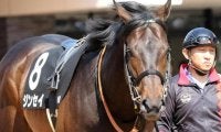 【平安S】ダートで覚醒したジンセイ 重賞初制覇狙う