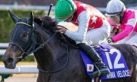 【オークス】GI・2勝目なるか 阪神JF覇者のアルマヴェローチェが挑む