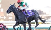 半兄はインドで種牡馬入り予定のキラーアビリティ キラーチューンがデビューV狙う