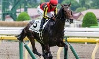半兄に日本ダービー馬と皐月賞馬 シャハザマーンが3度目の正直なるか