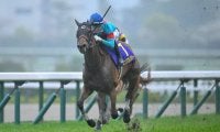 【オークス】エンブロイダリーは487kg…出走馬の調教後の馬体重