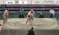 国技館に“超熱狂的”ファン登場 推し力士に衝撃の“絶叫”声援 75キロ差対決に激勝で喜び爆発