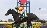 【競馬予想】オークスは「2400ｍに合いそうな血統」に注目　３歳牝馬ナンバーワンへと駆け抜けそうな２頭は？