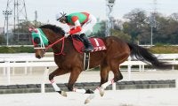 ラプタスの競走馬登録抹消…ダート戦線で長年活躍