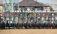 浦和競馬の「2歳新馬戦」に攻略の糸口は？ 種牡馬や厩舎、能試のデータから徹底分析