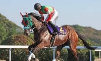 ダートグレード競走5勝のラプタスが登録抹消 今後は乗馬に
