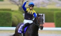 【先週のJRA抹消馬】22年大阪杯覇者ポタジェ、ダートグレード競走5勝のラプタスなど