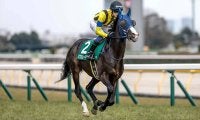 芝・ダートの3歳チャンピオン決定戦 2つの“ダービー”を血統的側面から注目馬を探る