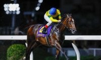 【船橋・若潮スプリント枠順】無傷4連勝中＆8カ月ぶりのベアバッキューンは8枠11番