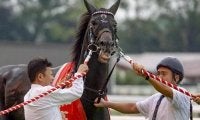 今週の武豊騎手は8鞍 ジュンブロッサムで安田記念4勝目なるか