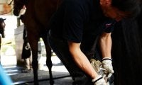 【装蹄師・西内荘コラム】函館への馬移動が本格化、新馬戦シーズンの幕開けも