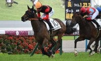 新種牡馬デビューJRA勝利一番乗りは？ 過去5年の馬を紹介