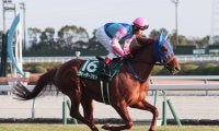 【競馬予想】安田記念はどの馬にもチャンスあり！ 元ジョッキーは決め手ある新勢力に白羽の矢