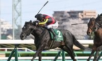 【競馬予想】安田記念で見るべき血統は「牝系」　コース適正が高い２頭の４歳馬に期待