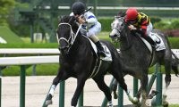【阪神5R新馬戦結果】チュウワカーネギーがJRA新馬勝ち一番乗り モーリス産駒