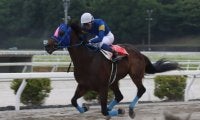 【瀬戸特別】9歳馬メイショウウズマサが力強く押し切る…サンライズグリットを退けて快勝