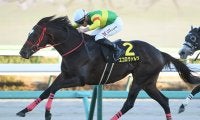 【競馬予想】安田記念は断然の主役は不在　好配当必至のレースで穴党記者激推しの２頭