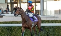 上半期の総決算・宝塚記念など3重賞/今週の競馬界の見どころ