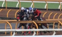 母はアルテミスSで後の桜花賞馬を撃破 日曜阪神で初陣迎えるボクサークラブ/関西馬メイクデビュー情報