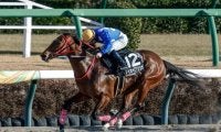 【先週のJRA抹消馬】短距離戦で計4勝のタイセイブリリオ、21年ラジオNIKKEI賞の2着馬ワールドリバイバル