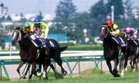 国内万博開催年の宝塚記念 過去4回連続で馬券に絡む吉兆枠とは