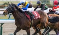 宝塚記念史上3頭目の7歳馬Vなるか 今年は3頭が参戦