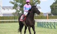 【函館SS予想】3歳馬の単勝回収率は200％超 馬齢が気になった人気の一角とは