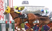 【競馬予想】宝塚記念で見るべき血統　特殊な距離のレースに「穴」をあけそうな２頭をピックアップ