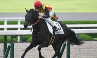 【阪神5R新馬戦結果】キズナ産駒マイオウンウェイが逃げ切り勝ち