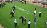 【函館5R新馬戦結果】カイショーが逃げ切り完勝 ハギノトップレディのレコードを46年ぶりに更新