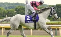 母は名牝スマートレイアー スマートプリエールが武豊騎手で新馬勝ちなるか