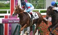 【阪神5R新馬戦結果】エピファネイア産駒サレジオが押し切り新馬勝ち
