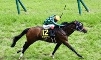 【パラダイスS】9歳馬カリボールが波乱を演出…サトノカルナバルはまさかの最下位