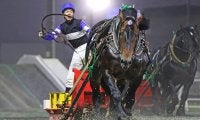 【ばんえい・北斗賞】コマサンエースが重賞2連勝…金田「9歳になっても若々しい」