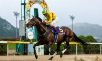 【佐賀王冠賞】ビキニボーイが早め先頭で完勝…5馬身差V