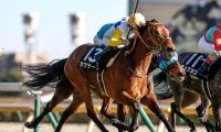 【府中牝馬S見どころ】大器晩成カナテープが連勝で重賞初制覇だ