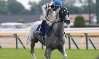 GI/JpnIに4度騎乗してすべて5着以内 下半期も注目の吉村誠之助騎手