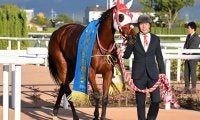 【府中牝馬S想定騎手】ラヴェルは津村明秀騎手、カニキュルは戸崎圭太騎手