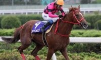 スマートファルコンのさきたま杯V2から15年 4馬身差の圧勝で達成した史上初