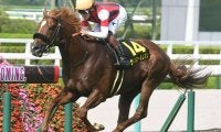 重賞馬は10頭超え しらさぎS前身の米子Sを制した馬たち