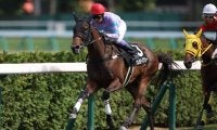 武豊騎手 今週の騎乗馬…函館で14鞍
