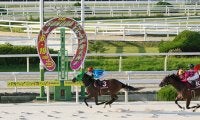 【園田FCスプリント】ユアマイドリームが電光石火の逃走劇！園田FCスプリントで3歳牝馬が古馬撃破
