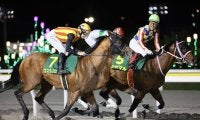 【さきたま杯】コスタノヴァなどJRA馬は5頭