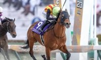 【浦和・さきたま杯枠順】JpnI・3勝目狙うシャマルは2枠2番、フェブラリーS覇者コスタノヴァは3枠3番