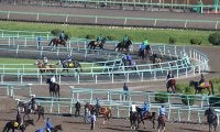 調教ゼッケンや帽子の違いに隠された意味とは 美浦トレセンや函館競馬場で公開調教実施