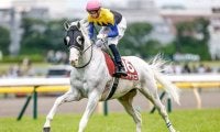 【先週のJRA抹消馬】重賞3勝を挙げた白毛馬ハヤヤッコ、芝・ダート・障害で白星を挙げたガンダルフなど