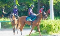 全兄に皐月賞馬のジオグリフ ロスパレドネスが日曜福島で初陣/関東馬メイクデビュー情報