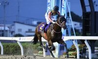 【さきたま杯】1レース売上18億円超でレコード更新！浦和競馬史上最多を記録