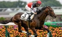【ラジオNIKKEI賞出走馬・騎手確定】トレサフィール＆横山典弘騎手、バズアップビート＆戸崎圭太騎手など14頭